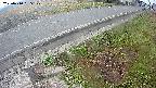 yotec6-20250410055109.jpg