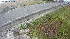 yotec6-20250410060111.jpg