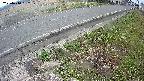 yotec6-20250410082109.jpg