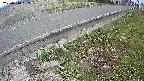 yotec6-20250410083109.jpg