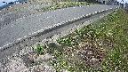 yotec6-20250410102110.jpg