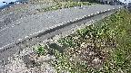 yotec6-20250410105109.jpg