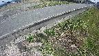 yotec6-20250410112110.jpg