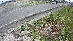 yotec6-20250410113110.jpg