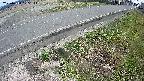 yotec6-20250410125112.jpg