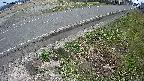 yotec6-20250410131110.jpg