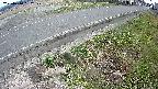 yotec6-20250410132109.jpg