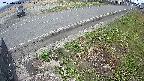 yotec6-20250410161112.jpg