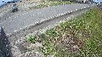 yotec6-20250410162110.jpg