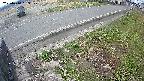 yotec6-20250410163110.jpg