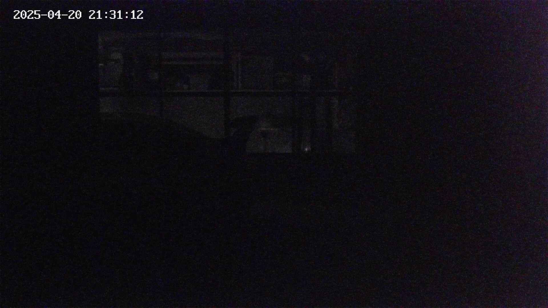 yotec6-20250420213112.jpg