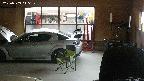 yotec6-20250503045109.jpg
