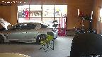 yotec6-20250503110109.jpg