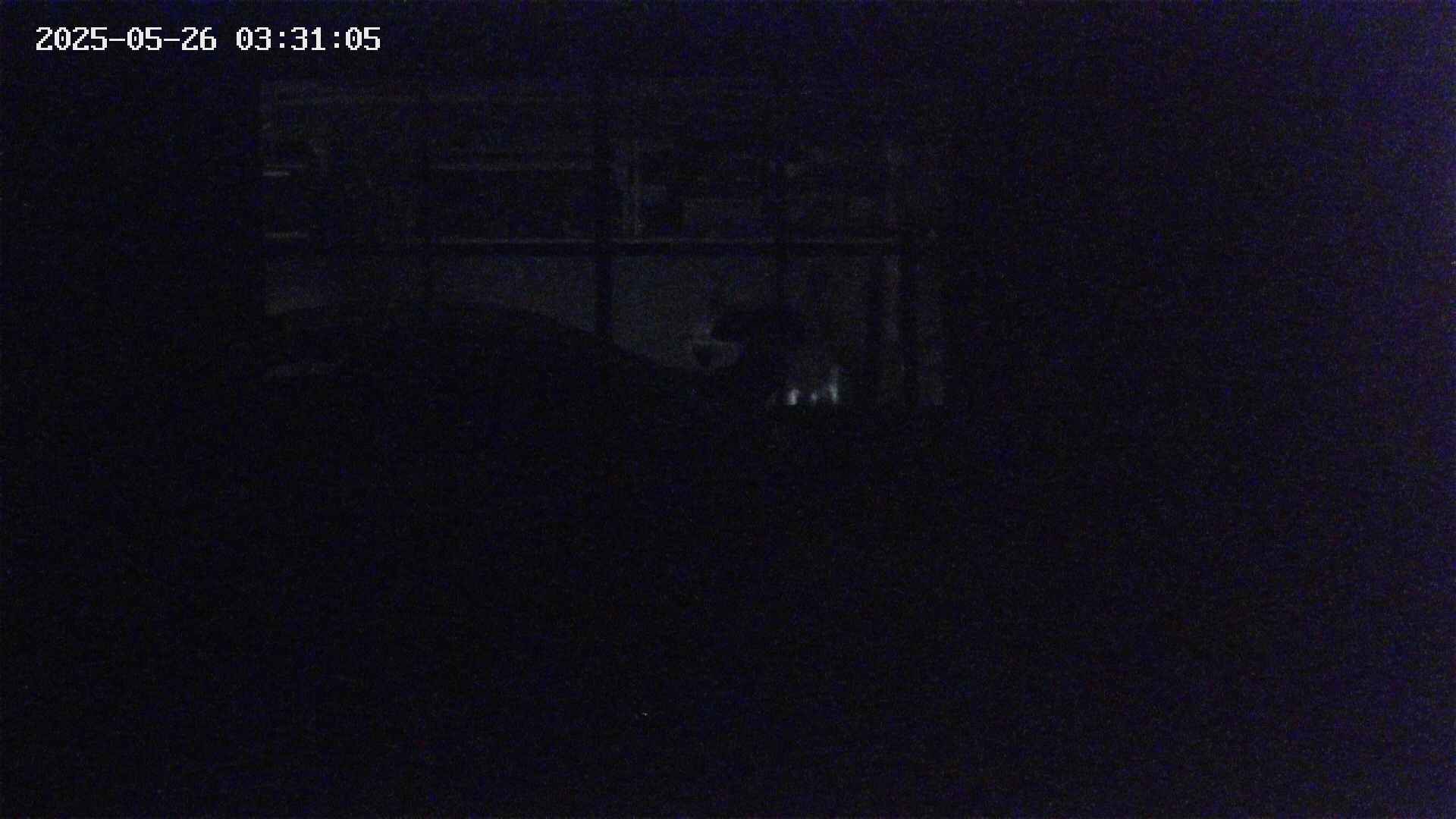 yotec6-20250526033106.jpg